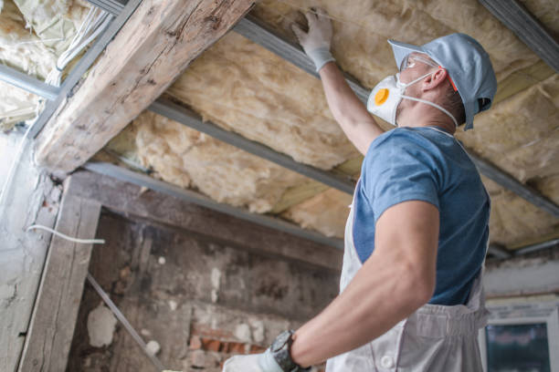 Best Residential Insulation in Occoquan, VA