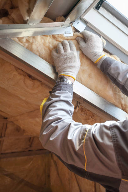 Types of Insulation We Offer in VA