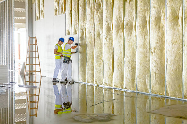 Best Insulation Materials and Products in Occoquan, VA